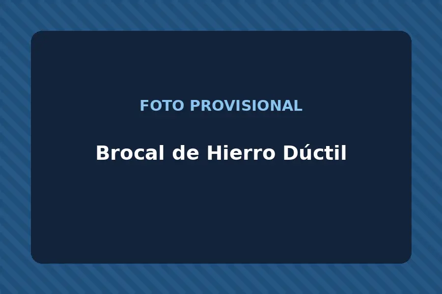 Brocal de Hierro Dúctil