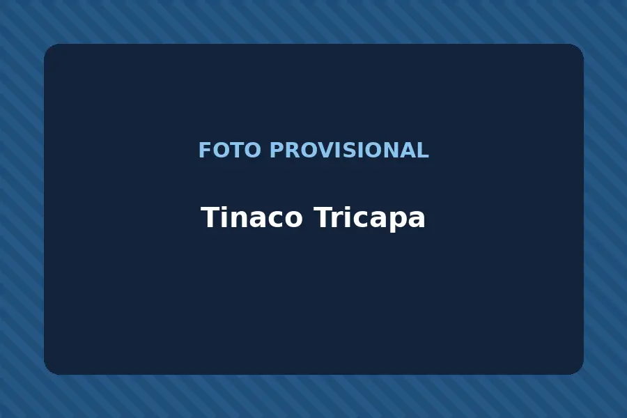 Tinaco Tricapa
